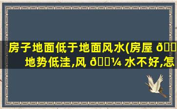 房子地面低于地面风水(房屋 🌷 地势低洼,风 🐼 水不好,怎么*
)